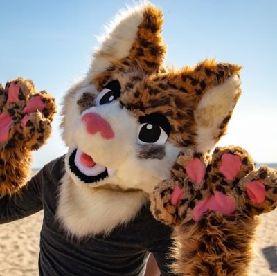 Luxo Foxさんのプロフィール画像