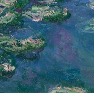 SoftSunrises's profile picture. 🌬 ॰ .• ˚ . ✦