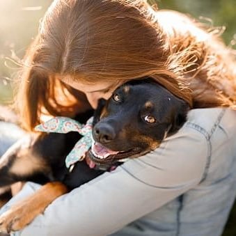 Rebecacamposs's profile picture. 