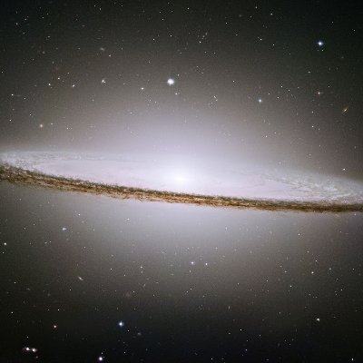 dundee_nick's profile picture. 