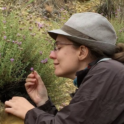 Solar-powered grad student @UWBotany. Potentilla breweri systematics, Great Basin sky islands, #sciart, all things wild and green. She/her.