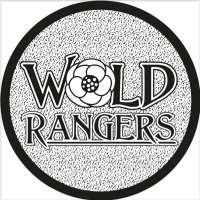 Wold Rangers Way(@RangersWold) 's Twitter Profileg