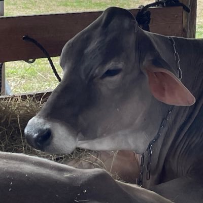 katmaxvol's profile picture. 