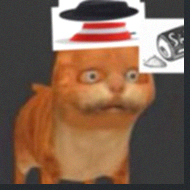 DSlashfn's profile picture. 