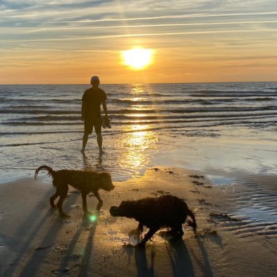 Alzheimer‘s diseases | Omics | PhD Student @AlzheimerAms Amsterdam UMC