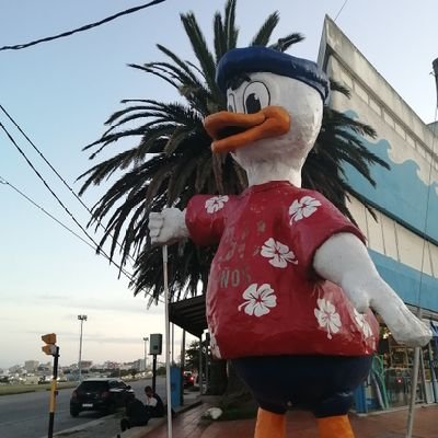 imagenUNMDP's profile picture. 