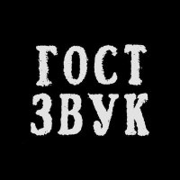 ГОСТ ЗВУК (@gostzvuk) 's Twitter Profile