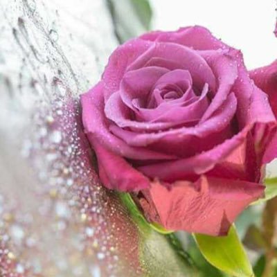مَالي سِوى قرْعي لبابِكَ حيلَةٌ فلئِن رُدِدتُ فأي بابٍ أقرعُ ؟