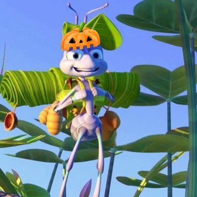 zirodersohn's profile picture. 