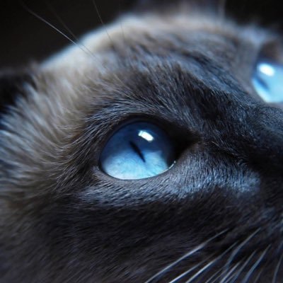 Rsk234's profile picture. Rs