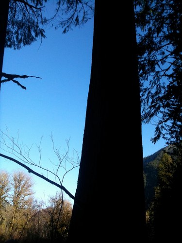 JasonSmerer's profile picture. I have no special talents, I am only passionately curious.