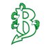 Brick Dragons Athletics (@BTHS_SPORTS) Twitter profile photo