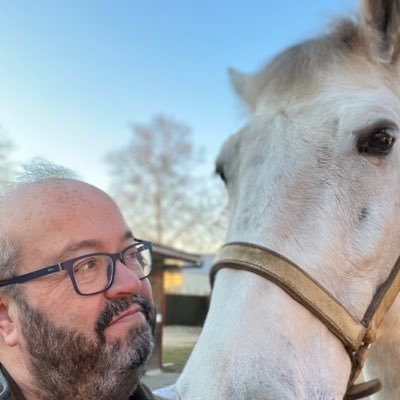 Les meves opinions personals no interessen a ningú. Ben sovint, ni tan sols a mi mateix.