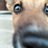 sweetegirll_pl's profile image