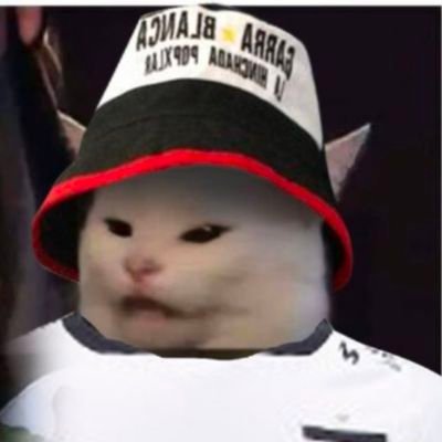 Hincha Zorra, Soy del Albo desde que nací 🤟⚪⚫♥ #BA ! Socia A-7427. Que si vas a la luna, vamos a ir 🎶