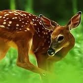 Noh71219768's profile picture. قانون