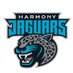 Harmony Elementary School (@harmonyesjags) Twitter profile photo Harmony Elementary School (@harmonyesjags) Twitter profile photo