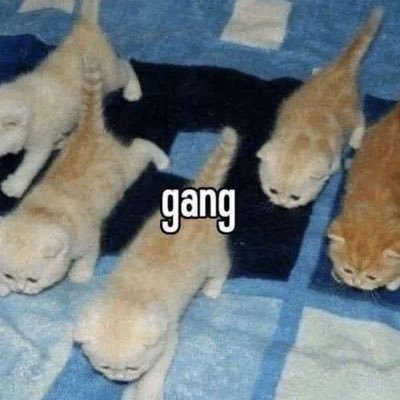 BirthdefectJ's profile picture. 