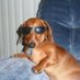 ;) (@dackellover) Twitter profile photo ;) (@dackellover) Twitter profile photo