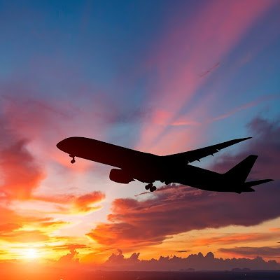 aranha_milena's profile picture. 