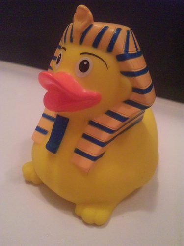 shoko_ymn's profile picture. やかましい音楽を愛する呑んだくれ社会人。人には変えられない性分ってのがあります。最近は専らM.O.B.Sの物販隊長。ライブ観に来てね。