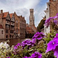 Sirley 🤍🦖 (@sirley55840629) 's Twitter Profile Photo