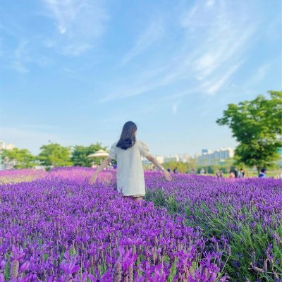 スキマ時間にできるゆるい副業を紹介しています💜スマホ1台でどこでもお仕事可能❤自分のペースで出来る時にやれます🌸私自身3ヵ月で月収100万達成しました💗本気で副業に挑戦したい方を全力でサポートしてます🌟無言フォロー大歓迎です💜