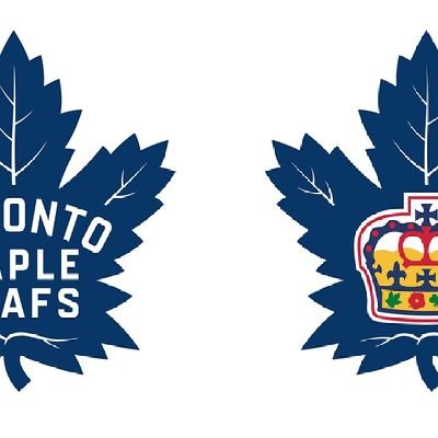 Life long hockey fan and diehard Toronto Maple Leafs fan ( most days..)
This is a personal account specifically for NHL betting.