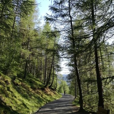 aeson_christen's profile picture. Follow me because there is no excuse for laziness.