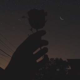 SandArabfr's profile picture. 