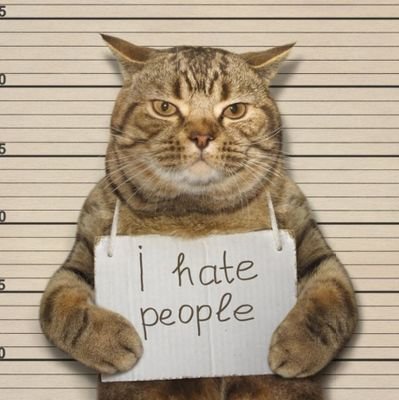 _yokgibi's profile picture. Duygusallık yok sadece alaycılık 🤹‍♀️