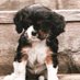 Jennifer Cowan (@jennifercowan18) Twitter profile photo Jennifer Cowan (@jennifercowan18) Twitter profile photo