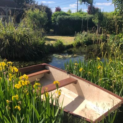 OutdoorsAly's profile picture. 