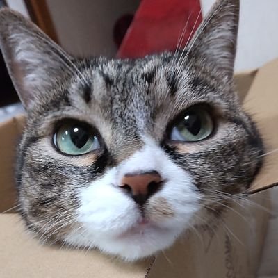 とろママ（天国民）さんのプロフィール画像