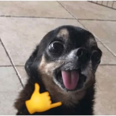 LuChobtw1's profile picture. 