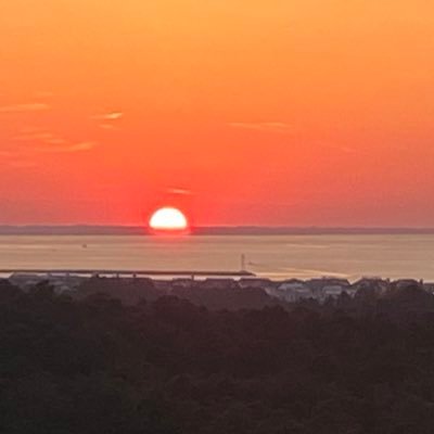 patydchubers's profile picture. 