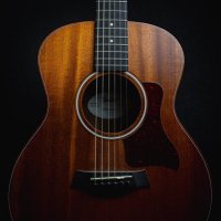 STAG in PG Music (@mrandino1) 's Twitter Profile Photo