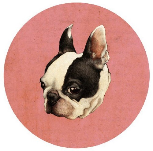 biff the boston