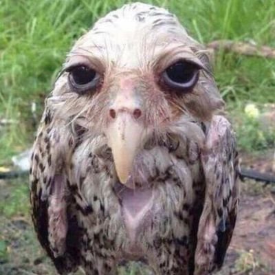 If quizzes are quizzical then what are tests
(yes this is a horny account, get off my case)