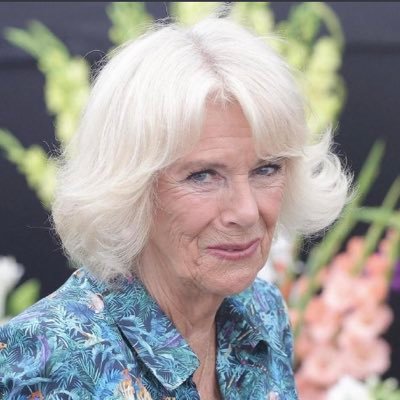 titou1500's profile picture. il se pourrait que vous puissiez voir de temps à autre un 🍑et une 🍆 soyez avertis 🌈👬🌈😈🔞🔞