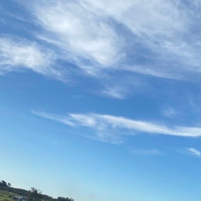 x100preSiempre's profile picture. 