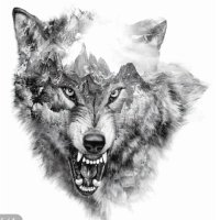 ابو فراس (@al_mu1htar) 's Twitter Profile