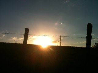 Refferma's profile picture. 