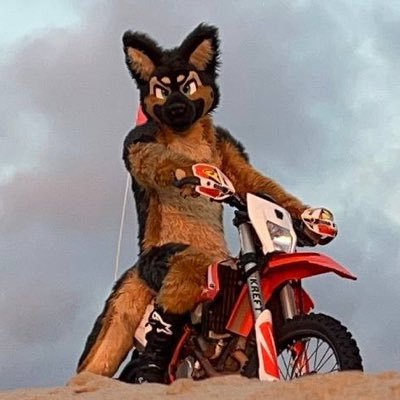 35 | 🔞 No Minors | Mostly SFW on this account | Enjoyer of fast-ish cars and big-ish trucks | Fursuit by me | 🇨🇦 in 🇺🇸 | Mated to @thedieselshep ❤️