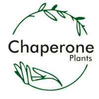 Chaperone Plants(@ChaperonePlants) 's Twitter Profile Photo