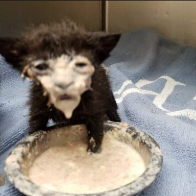 Dr_____sex's profile picture. 