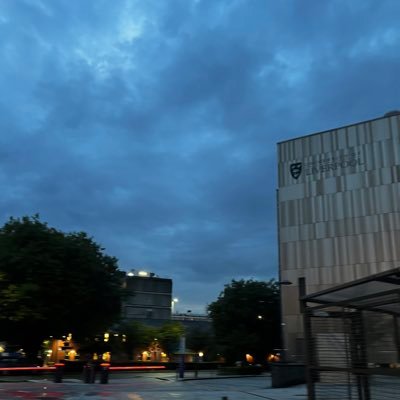 Kaiyue_TENG's profile picture. PhD student in University of Liverpool