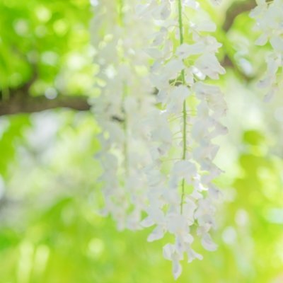 平安王朝ファンタジー『くれなゐ君』(上下巻)、『詩集 砂の海』を出版。▶️(https://t.co/StkEWT9eWr)現在、長編小説を執筆中✍️
🌿神社仏閣、居合道、楽器、伝統芸能が好きです
🌿無言フォロー失礼いたします
❇️DMはご容赦下さい