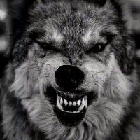 Boothe Gregory (Pronouns: Smith & Wesson) (@_boothe_) 's Twitter Profile