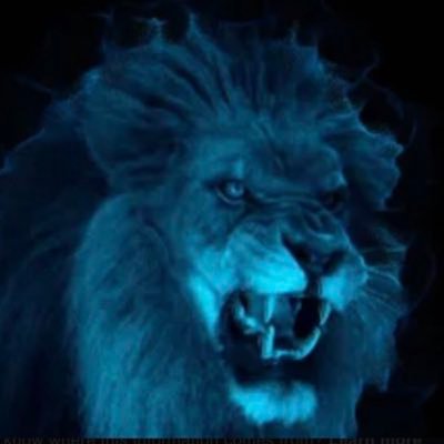 whothefkisJamie's profile picture. Not financial advice. #sol #CRO #BNB #ETH #SUI